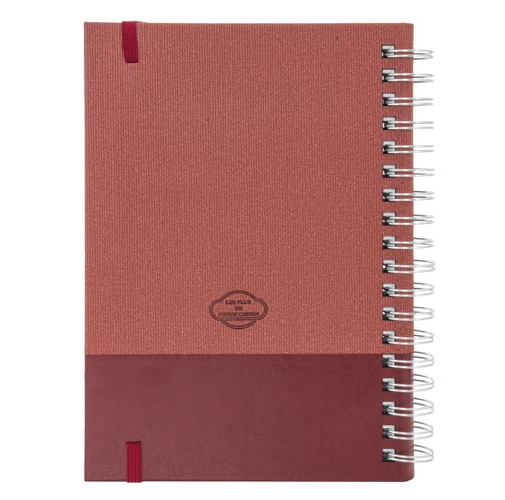 AGENDA ANILLAS PIERRE CARDIN 