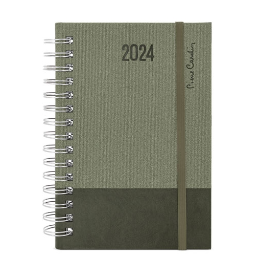 AGENDA ANILLAS PIERRE CARDIN 