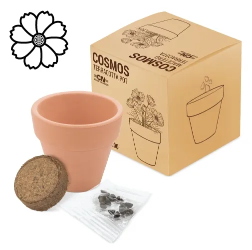 MACETA TERRACOTA COSMOS