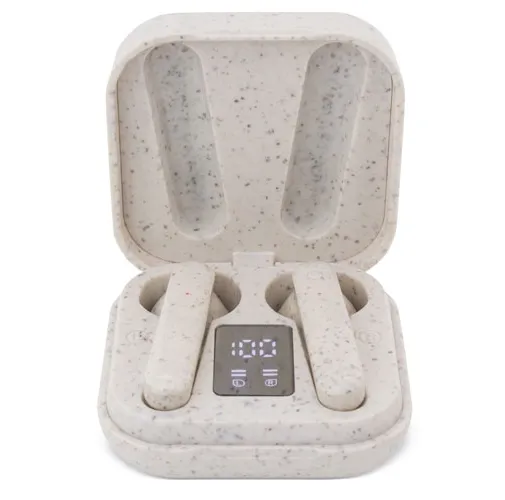 AURICULAR CARGA SOLAR ATRIO