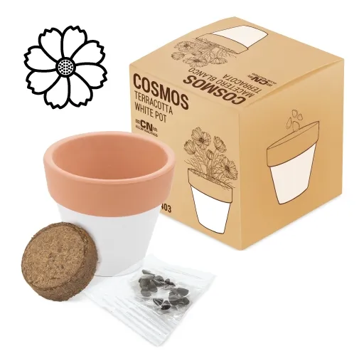 MACETA TERRACOTA 