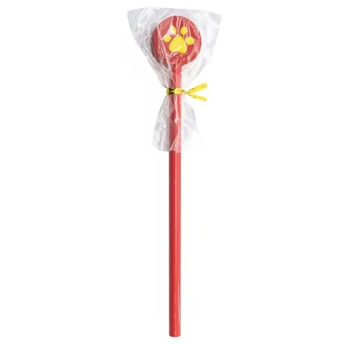 SET LAPICES FOOT PRINT 1 PACK