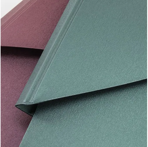 CARPETA CONGRESISTA BROC