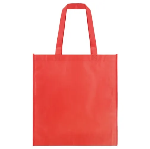 BOLSA NON WOVEN LAMINADO MATE FERN