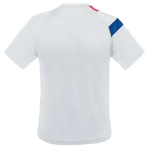 CAMISETA BANDERA FRANCIA  D&FBL NATIONS