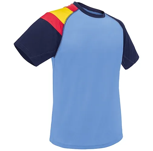 CAMISETA BANDERA D&F AZ-RY 