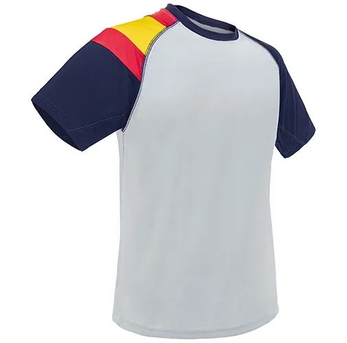 CAMISETA BANDERA D&F GR 