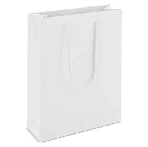 BOLSA DE CARTONCILLO ASA LOOPSE JOANNA 