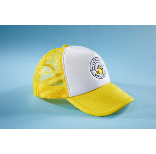 5 Panel Polyester Mesh Cap