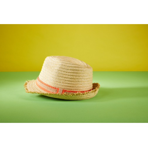 Trendy Summer Hat