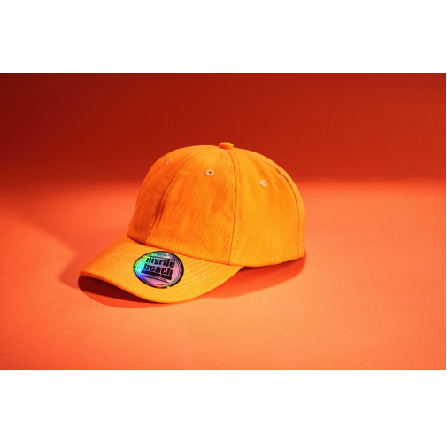 6 Panel Heavy Brushed Cap