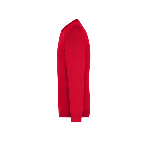 Men\'s V-Neck Pullover