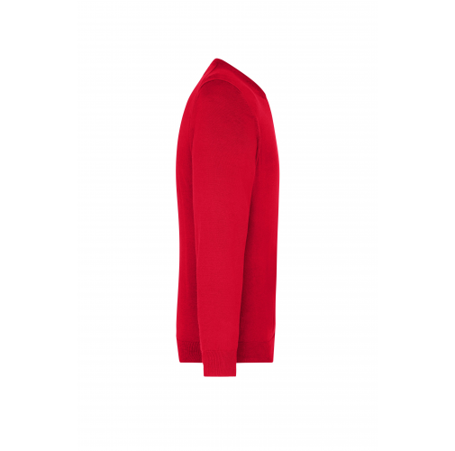 Men\'s V-Neck Pullover