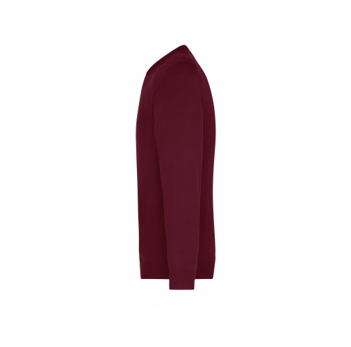 Men\'s V-Neck Pullover