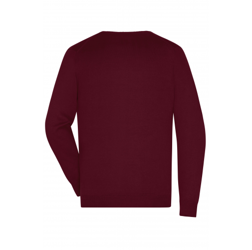 Men\'s V-Neck Pullover