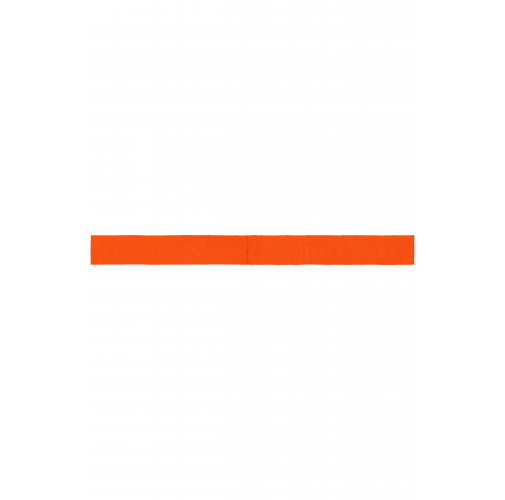 Ribbon for Promotion Hat