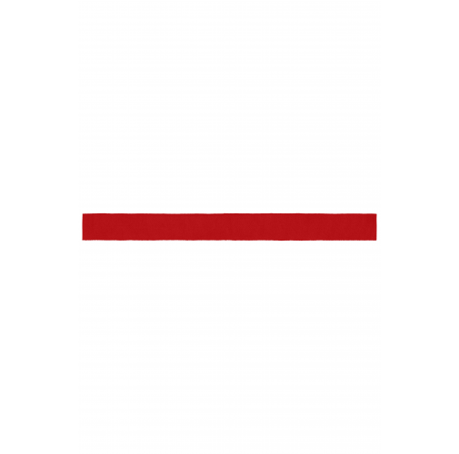 Ribbon for Promotion Hat