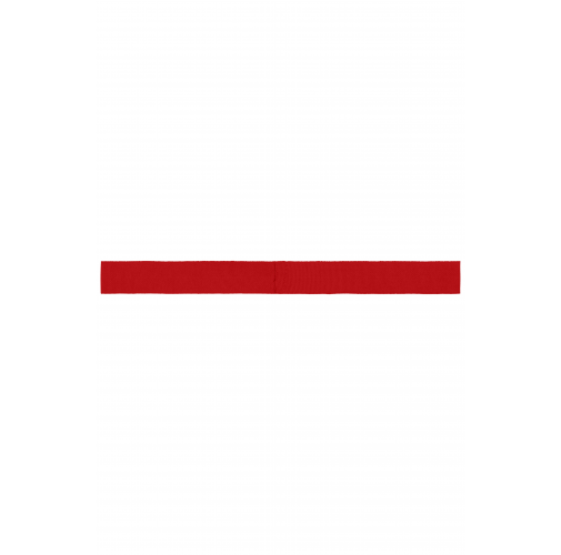 Ribbon for Promotion Hat