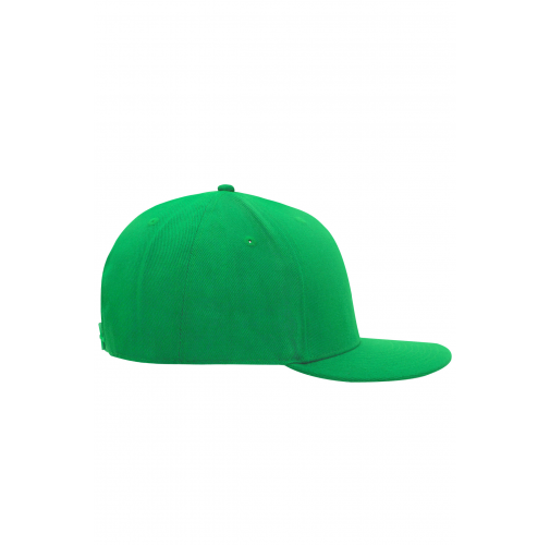 6 Panel Pro Cap Style
