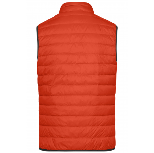 Men\'s Down Vest