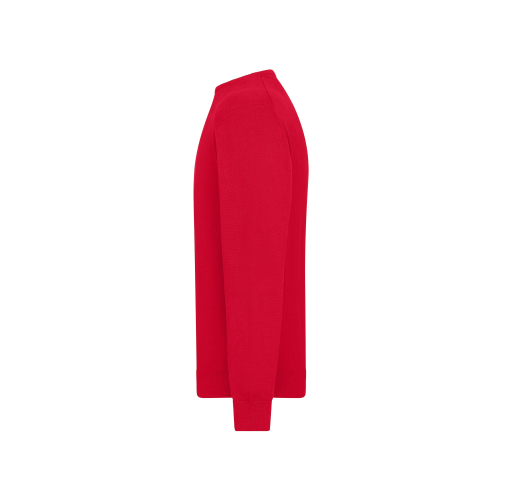 Men\'s Round-Neck Pullover