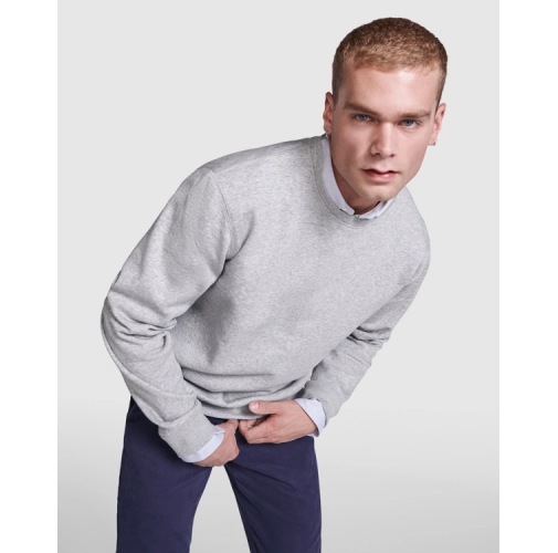 gris vigore BATIAN 1071