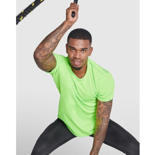 verde helecho IMOLA 0427