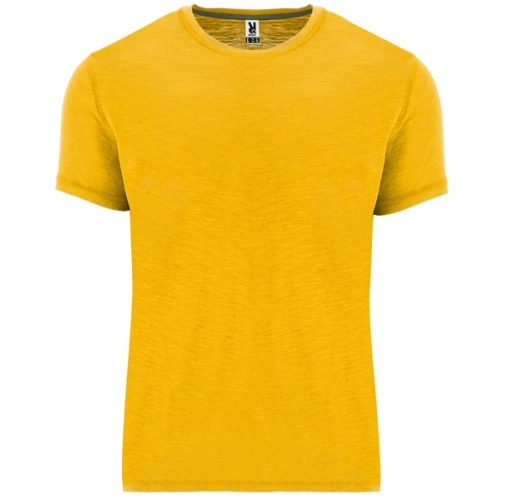 mostaza TERRIER 0396