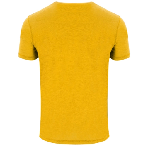 mostaza TERRIER 0396