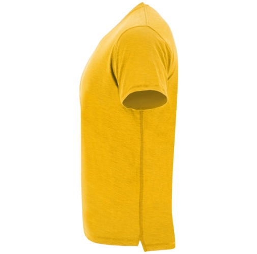 mostaza TERRIER 0396