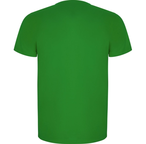 verde helecho IMOLA 0427