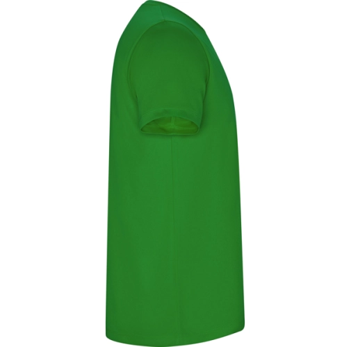 verde helecho IMOLA 0427