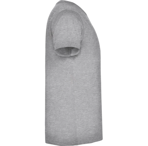 gris vigore SAMOYEDO 6503