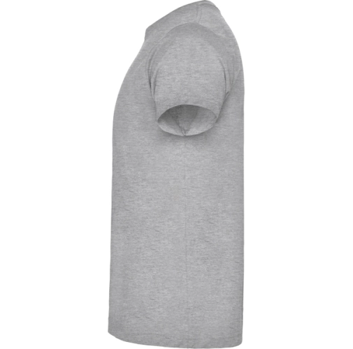 gris vigore BRACO 6550