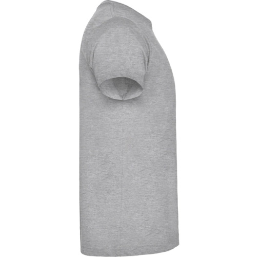 gris vigore BRACO 6550