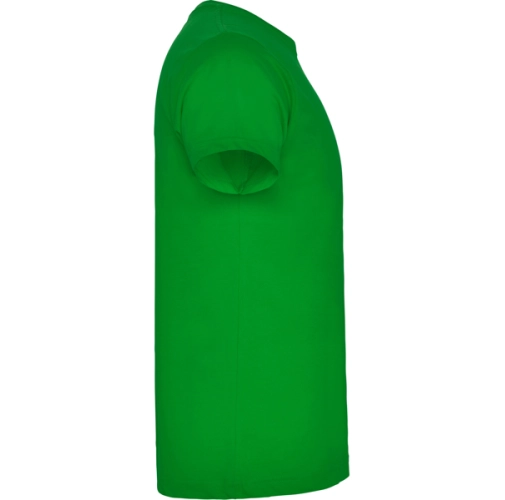 verde grass BRACO 6550