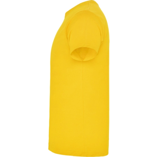 amarillo golden BRACO 6550