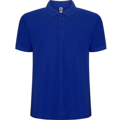 royal PEGASO PREMIUM 6609