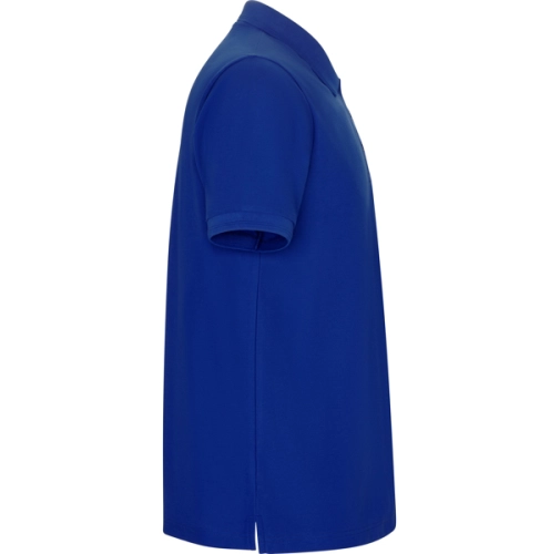 royal PEGASO PREMIUM 6609