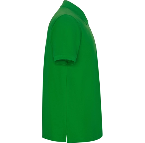 verde grass PEGASO PREMIUM 6609