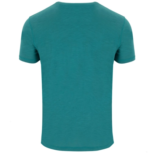 verde marea TERRIER 0396