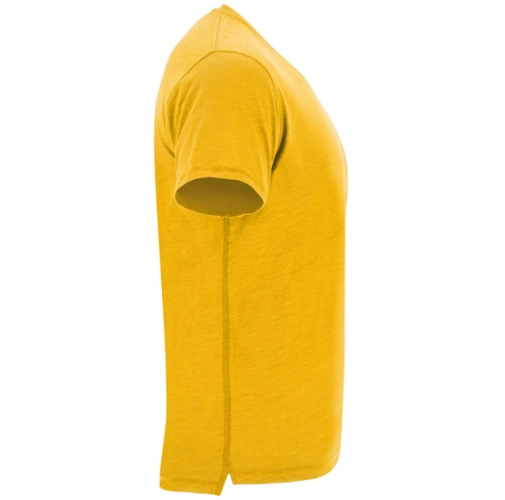 mostaza TERRIER 0396