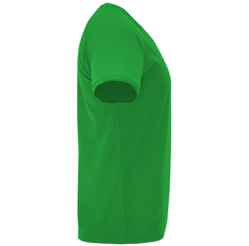 verde helecho BAHRAIN 0407