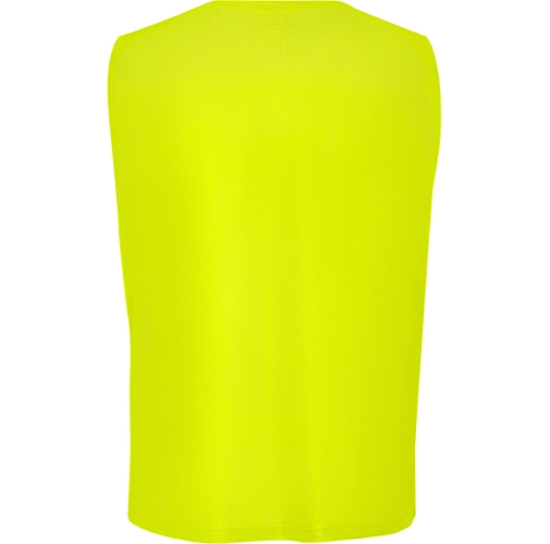 amarillo fluor POLARIS 9302