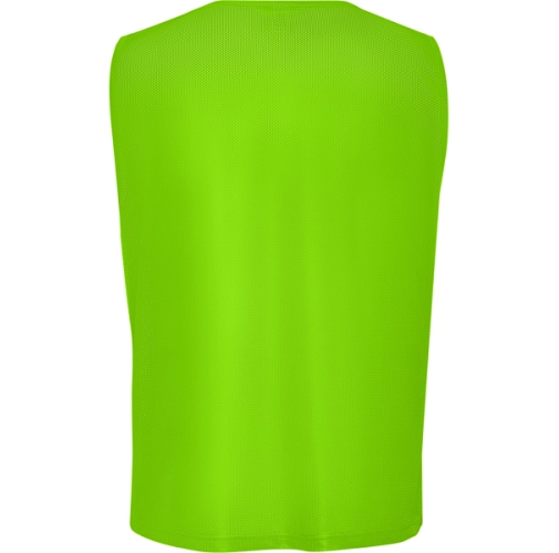 verde fluor POLARIS 9302