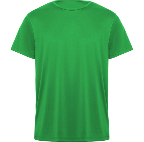 verde helecho DAYTONA 0420