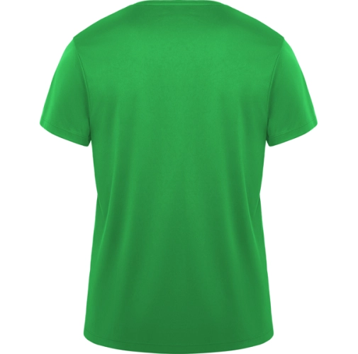 verde helecho DAYTONA 0420