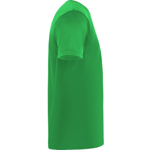 verde helecho DAYTONA 0420