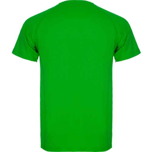 verde helecho MONTECARLO 0425