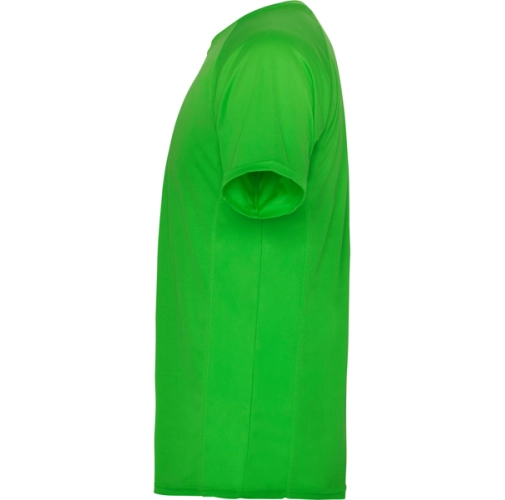 verde helecho MONTECARLO 0425